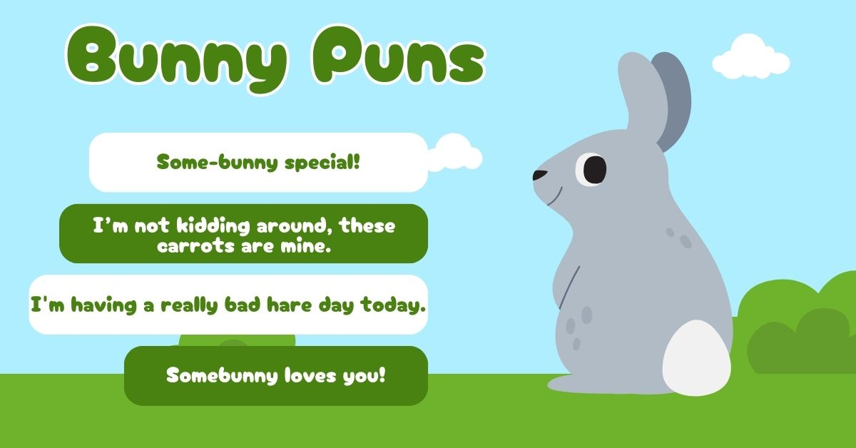 Bunny puns
