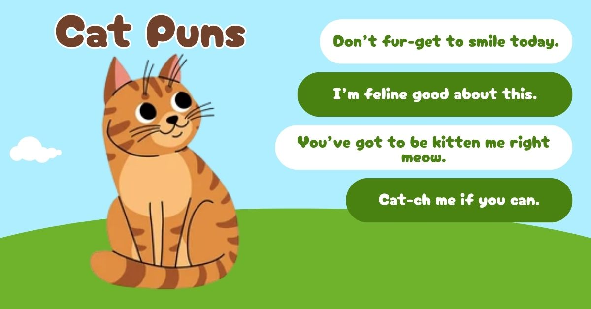 Cat puns