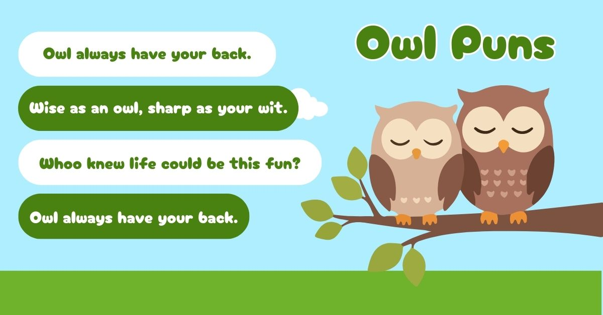 Owl puns