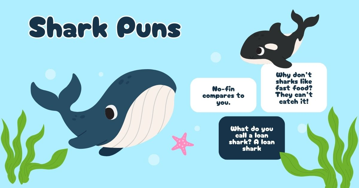 Shark puns