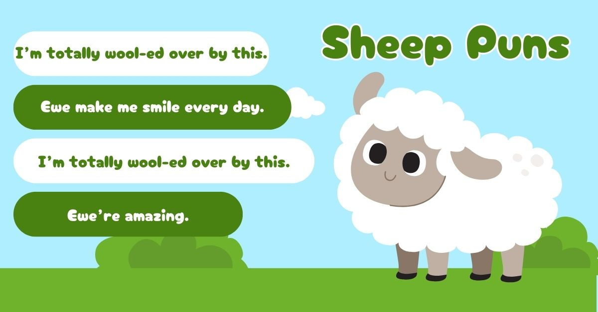 Sheep puns