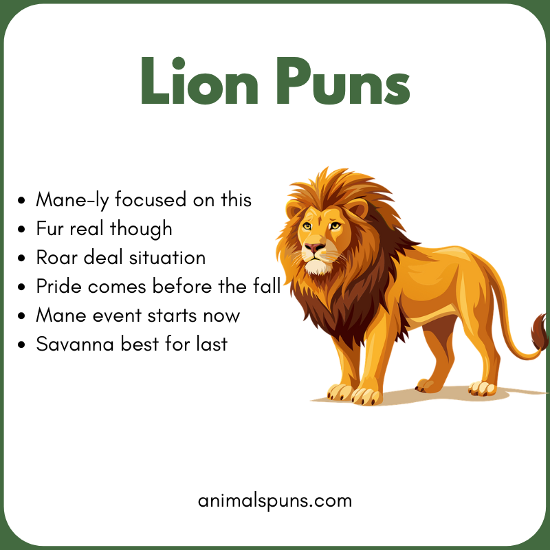 One-Liner Lion Puns: lion pun illustration
