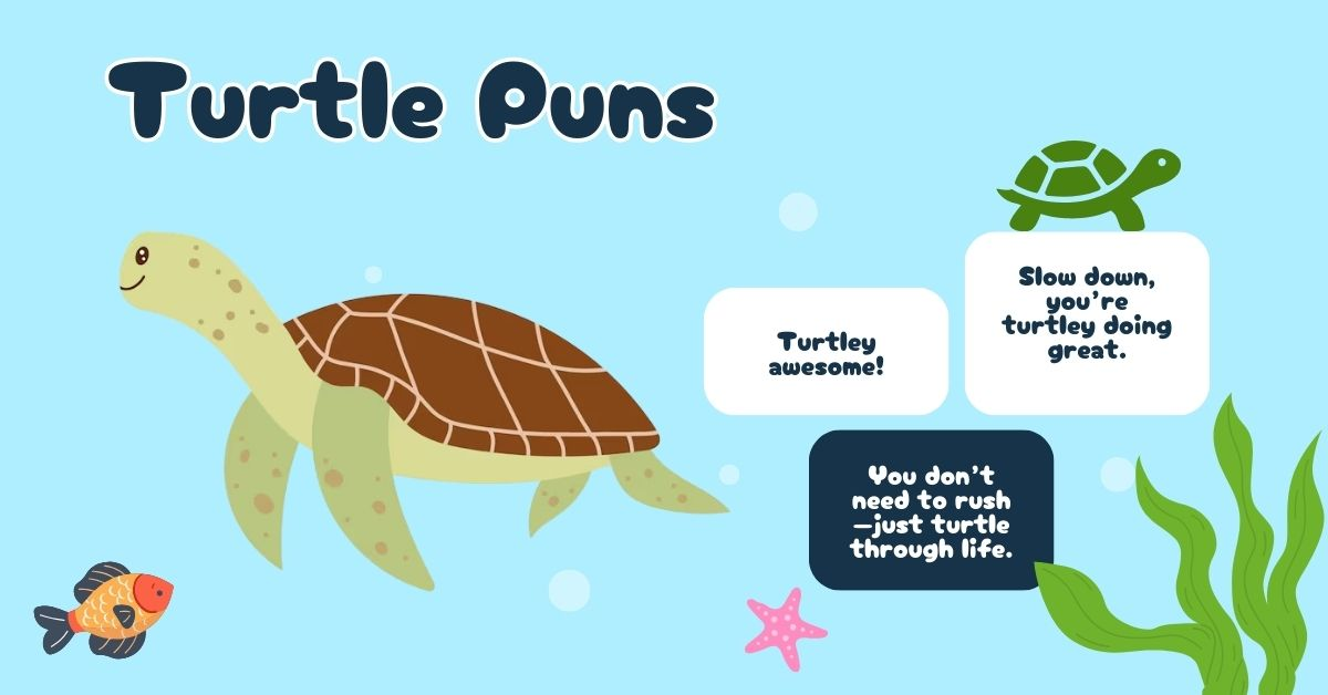 Turtle puns