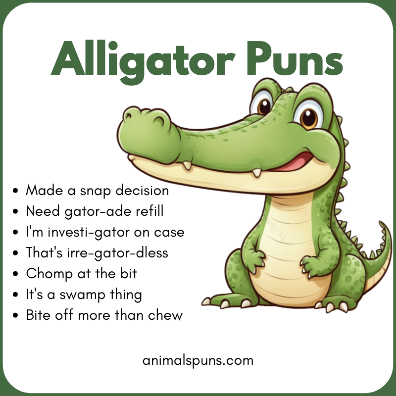 Best Alligator Puns of All Time: alligator pun illustration