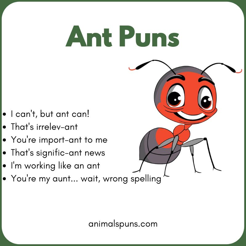 Cute Ant Puns 🐜: ant pun illustration