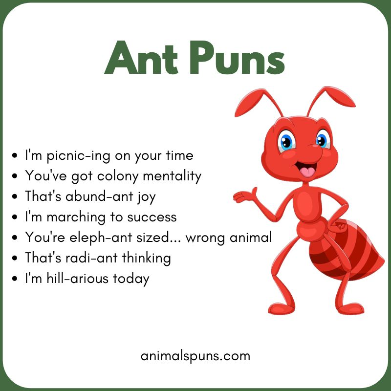 Best Ant Puns of All Time: ant pun illustration
