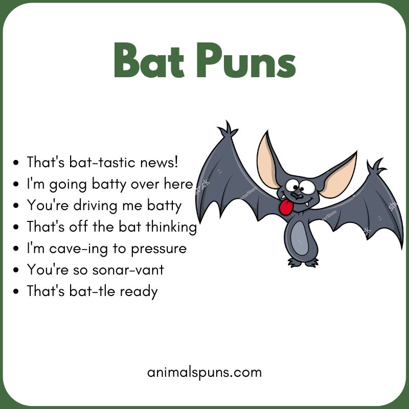 Cute Bat Puns for Kids 🦇: bat pun illustration