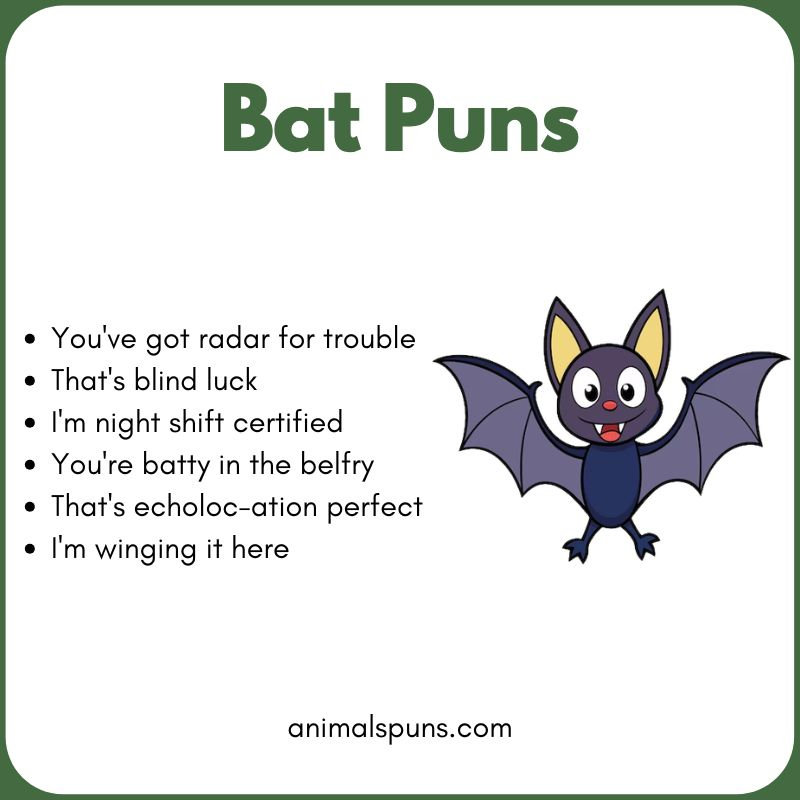 Best Bat Puns of All Time 🦇: bat pun illustration