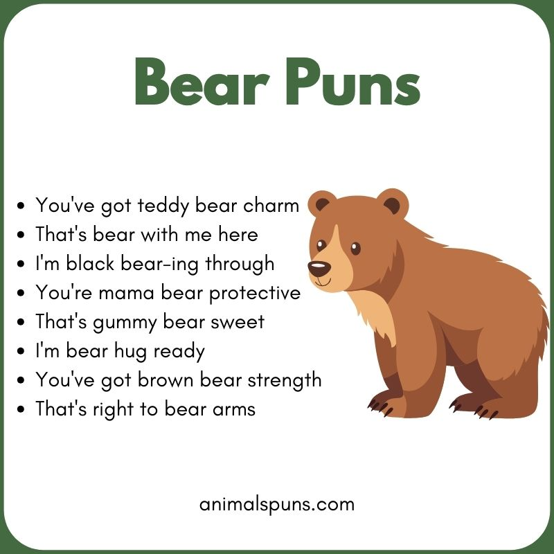 Best Bear Puns of All Time: bear pun illustration