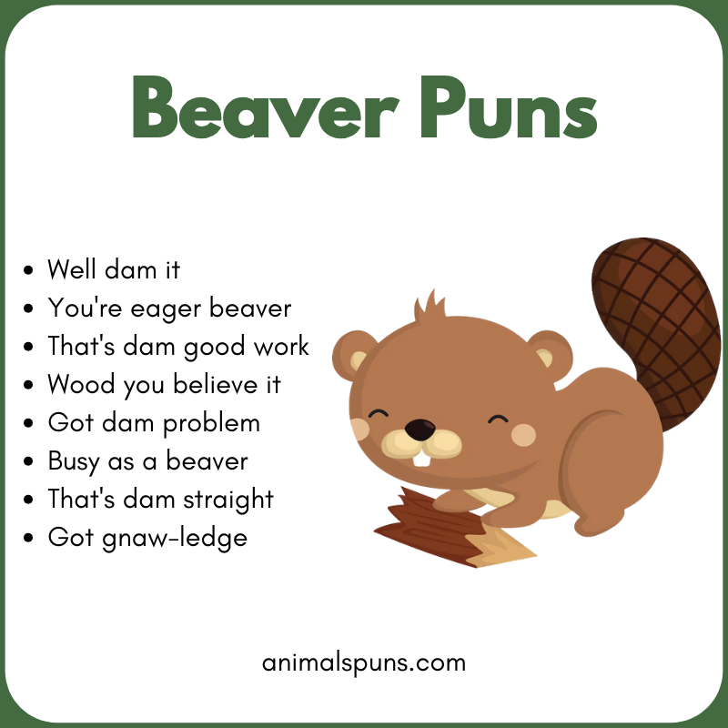 Dam Good Beaver Puns: beaver pun illustration