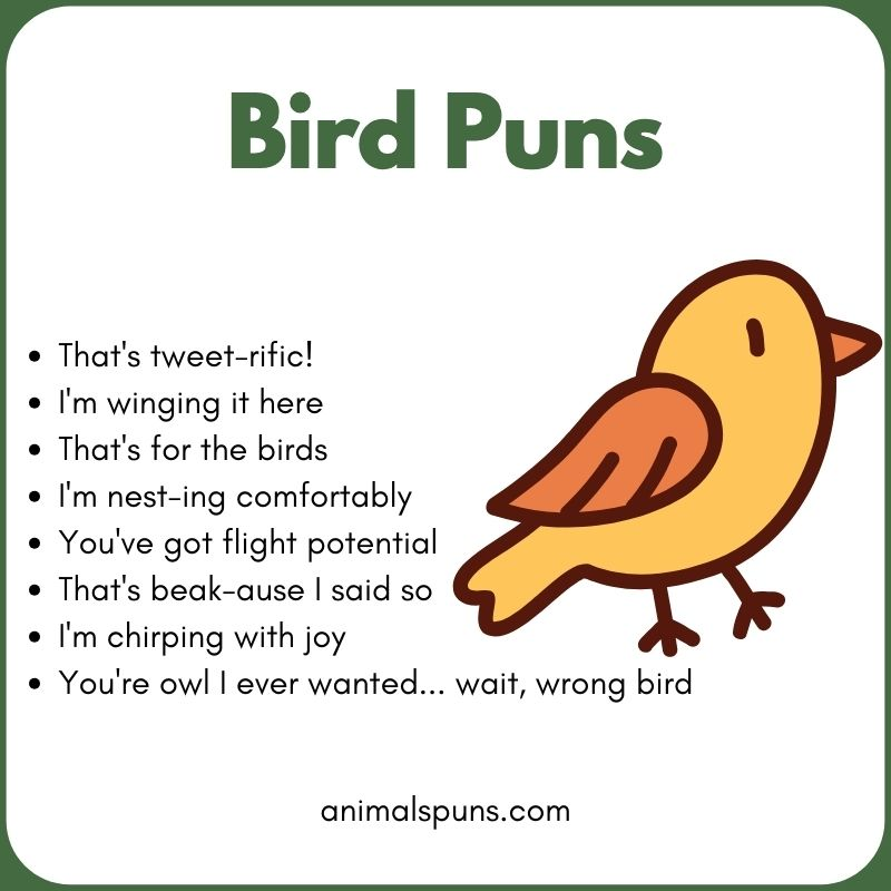 Clever Bird Wordplay Puns: bird pun illustration