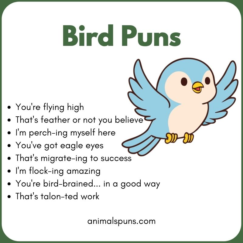 Short One-Liner Bird Puns: bird pun illustration