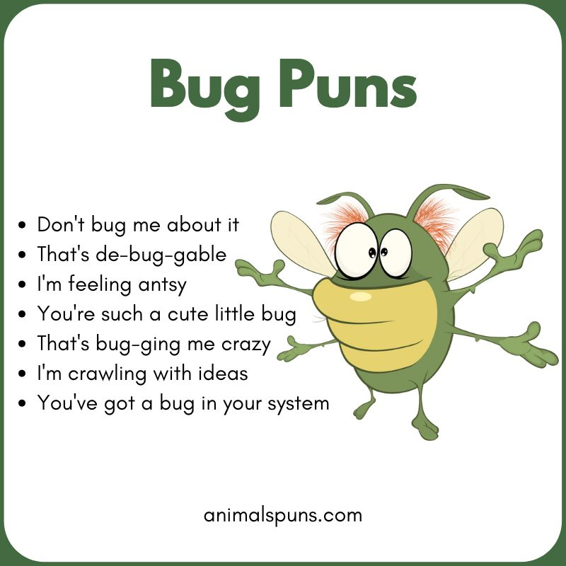Best Bug Puns of All Time 🐛: bug pun illustration