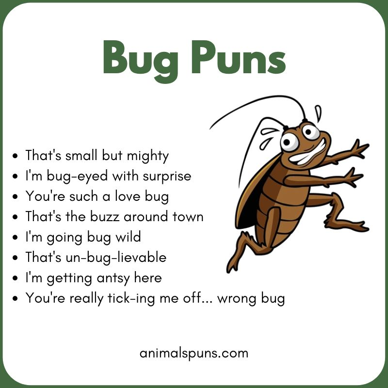 Funny Bug Puns for Adults 😂: bug pun illustration