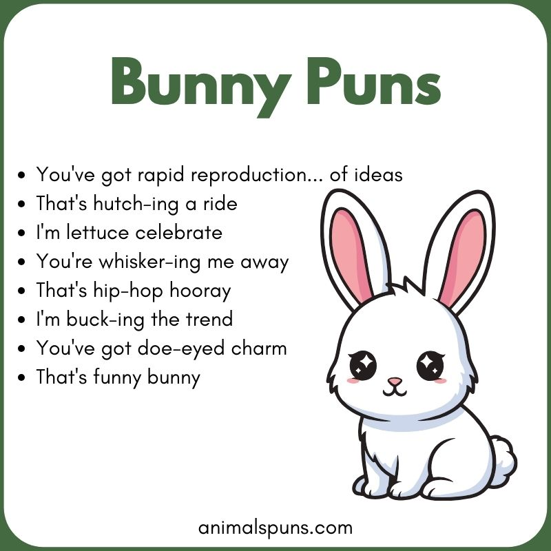Cute Bunny Puns for Kids: bunny pun illustration