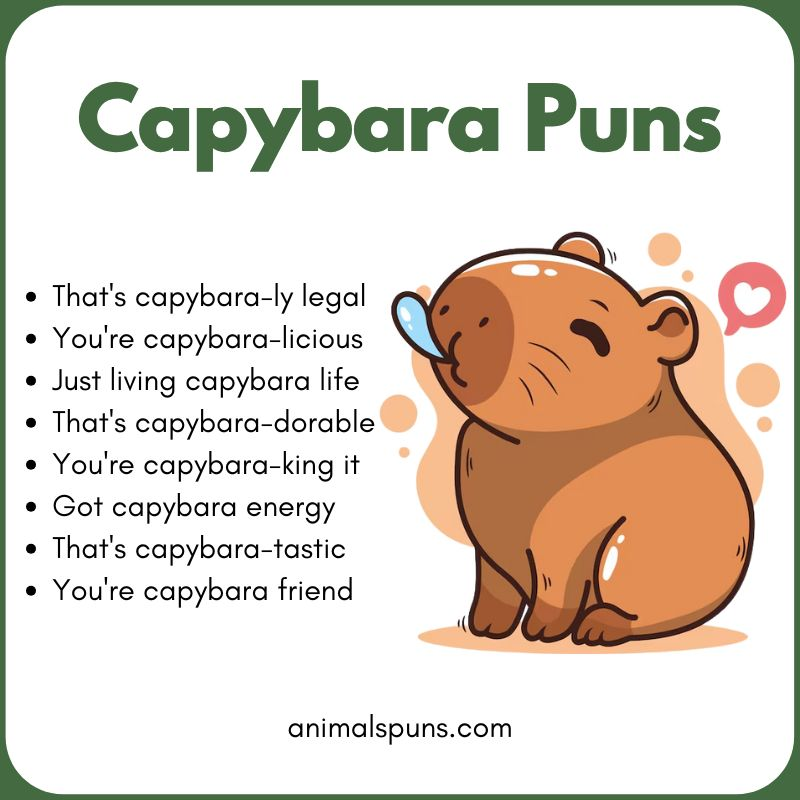 Best Capybara Puns of All Time: capybara pun illustration