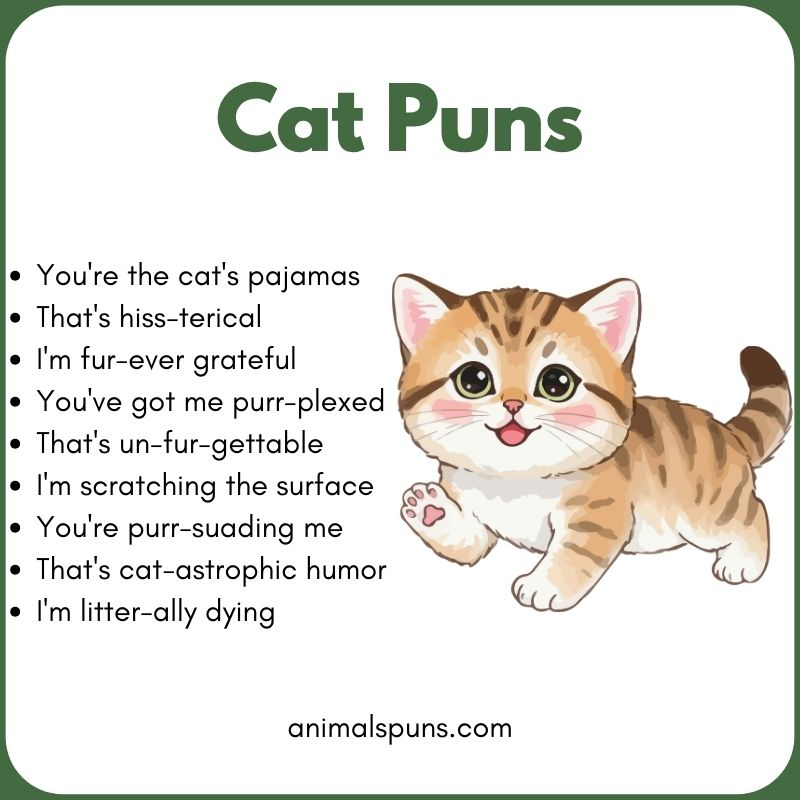 Clever Cat Puns for Adults 🐱: cat pun illustration