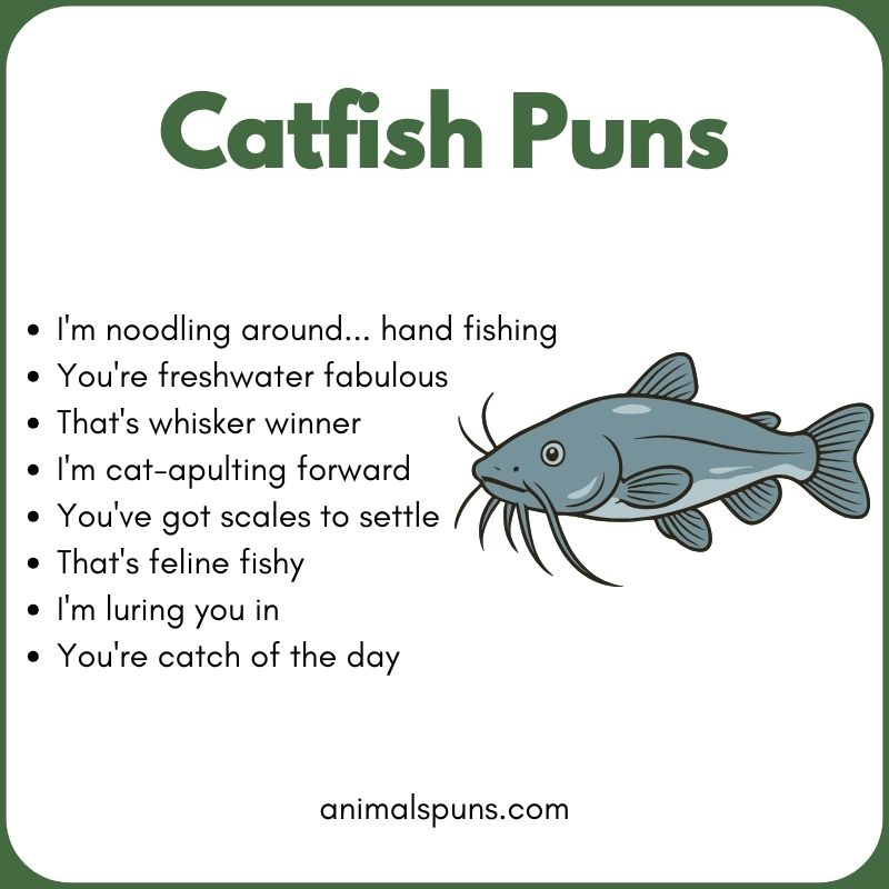 Catfish Puns for Instagram Captions 📸: catfish pun illustration
