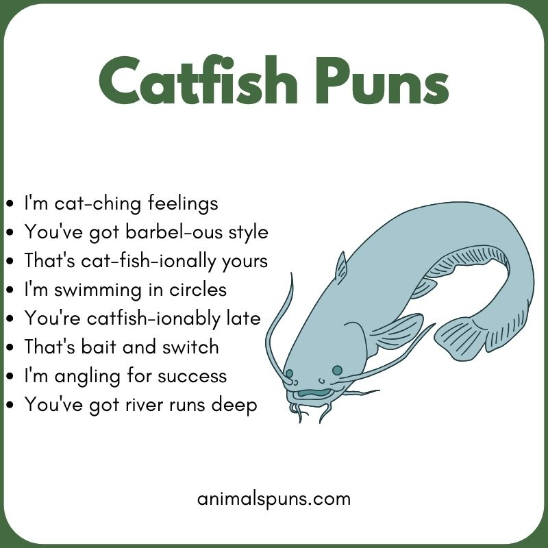 Short One-Liner Catfish Puns: catfish pun illustration