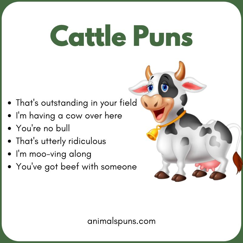 Cute Cattle Puns for Kids 🐮: cattle pun illustration