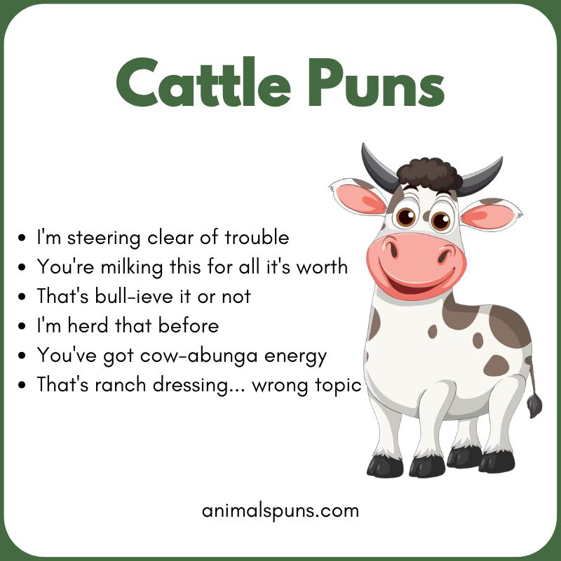 Short One-Liner Cattle Puns: cattle pun illustration