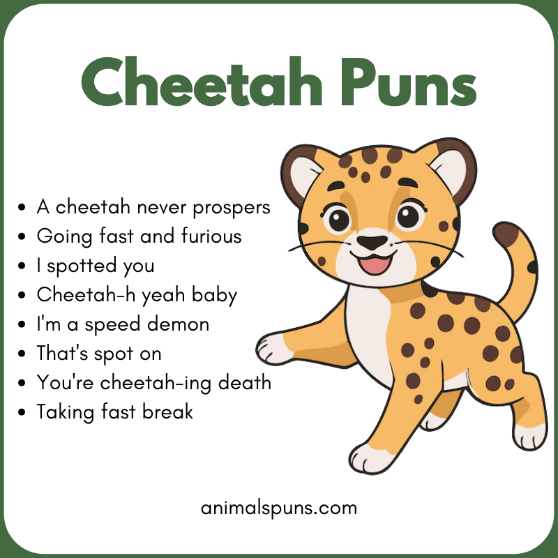 Best Cheetah Puns of All Time: cheetah pun illustration