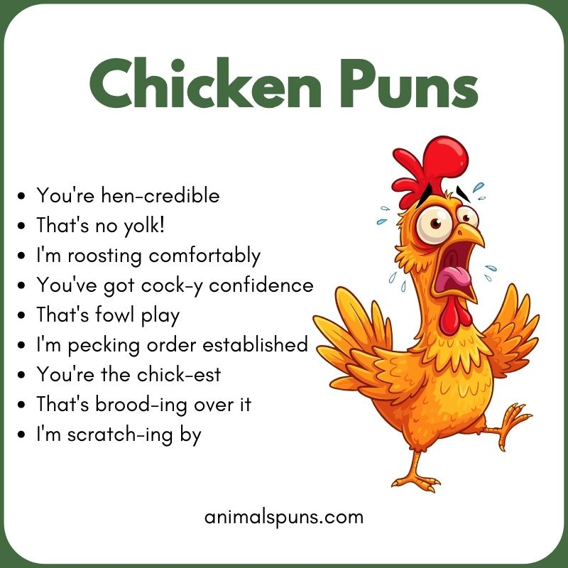 Short One-Liner Chicken Puns: chicken pun illustration