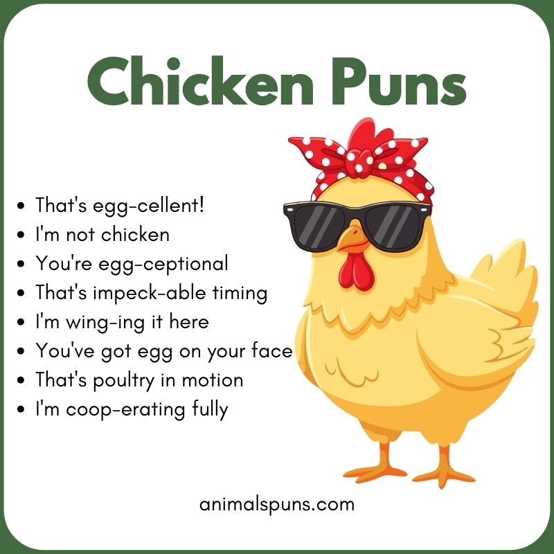 Chicken Puns for Kids: chicken pun illustration