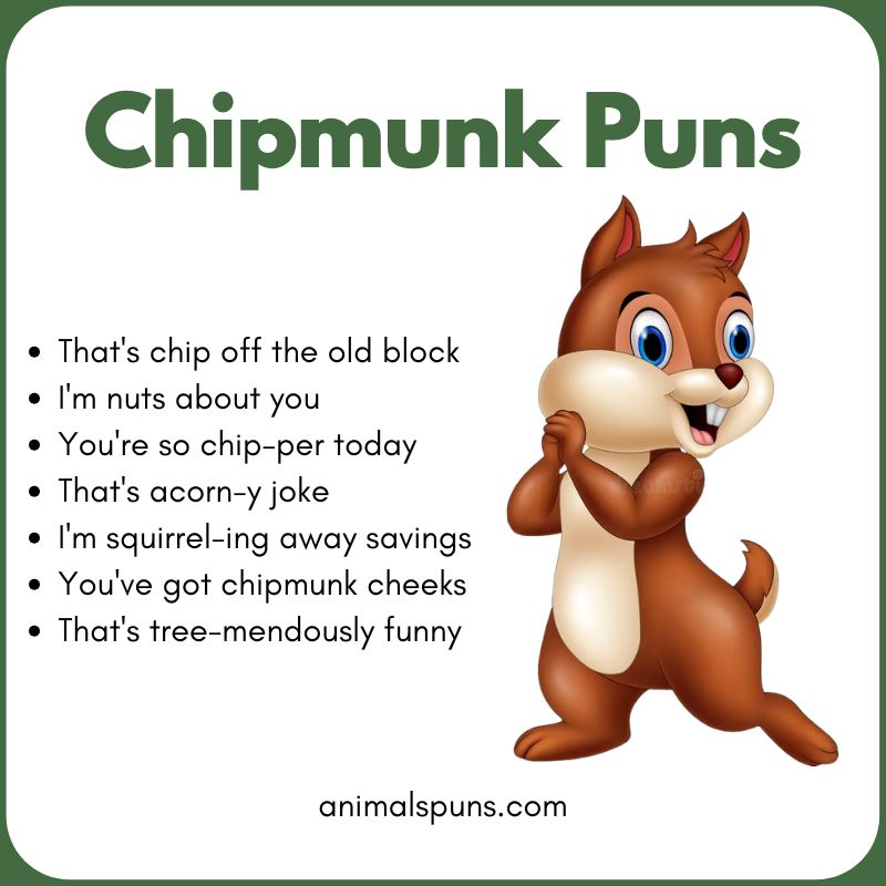 Best Chipmunk Puns of All Time: chipmunk pun illustration