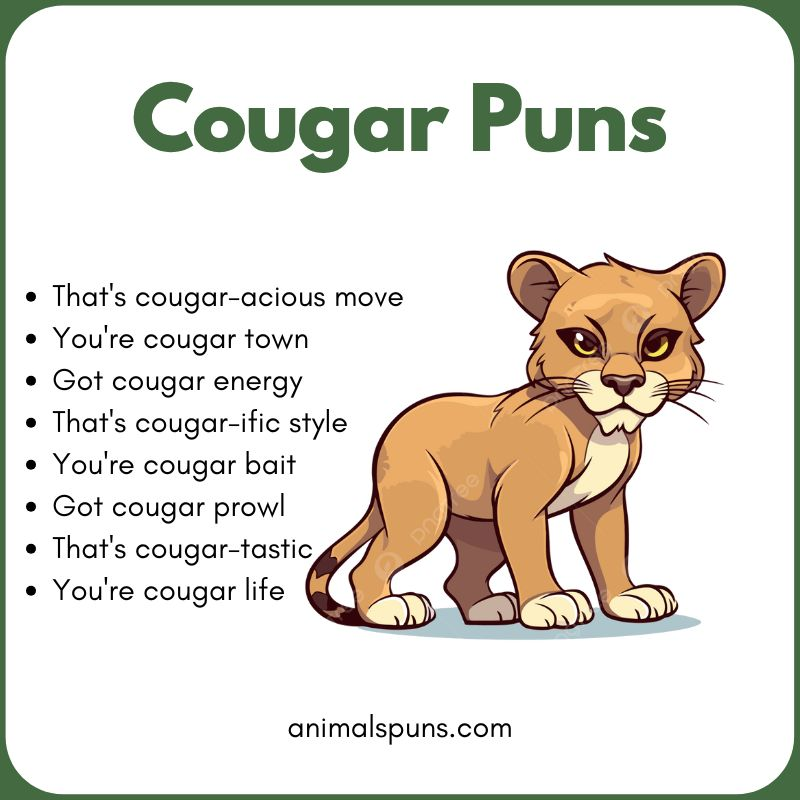 Cute Cougar Puns for Animal Lovers: cougar pun illustration
