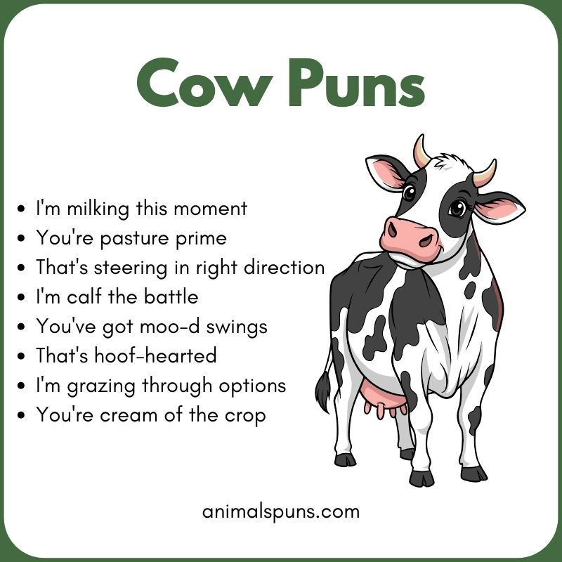 Funny Cow Jokes for Kids: cow pun illustration
