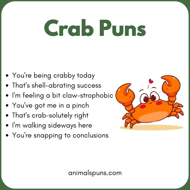 Best Crab Puns of All Time 🦀: crab pun illustration