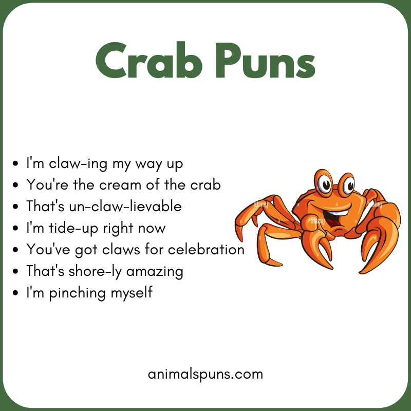 Cute Crab Puns 💕: crab pun illustration