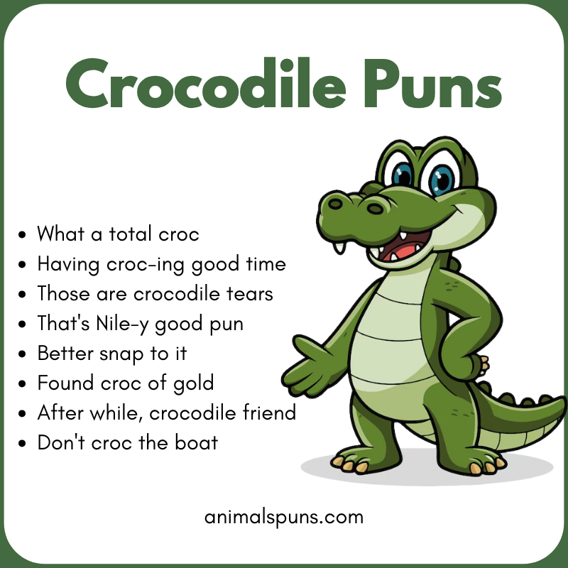 Best Crocodile Puns of All Time: crocodile pun illustration