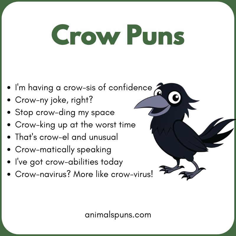 Cute Crow Puns for Bird Lovers: crow pun illustration