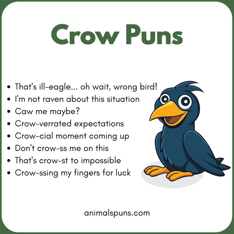 Short One-Liner Crow Puns: crow pun illustration