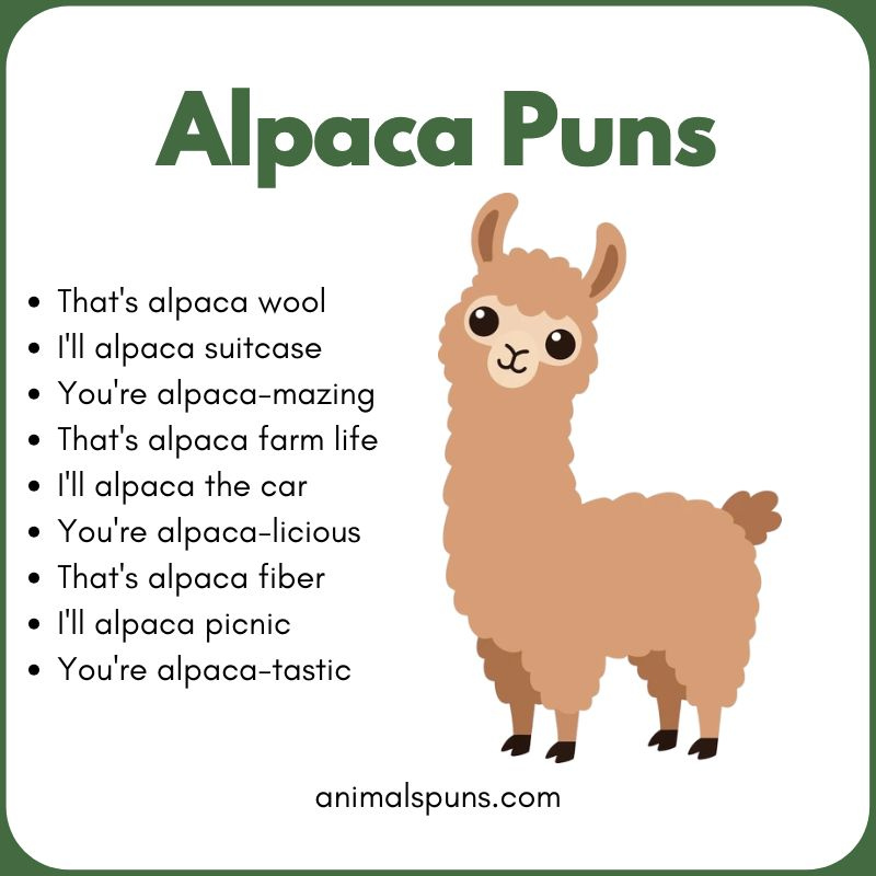 Best Alpaca Puns of All Time: alpaca pun illustration