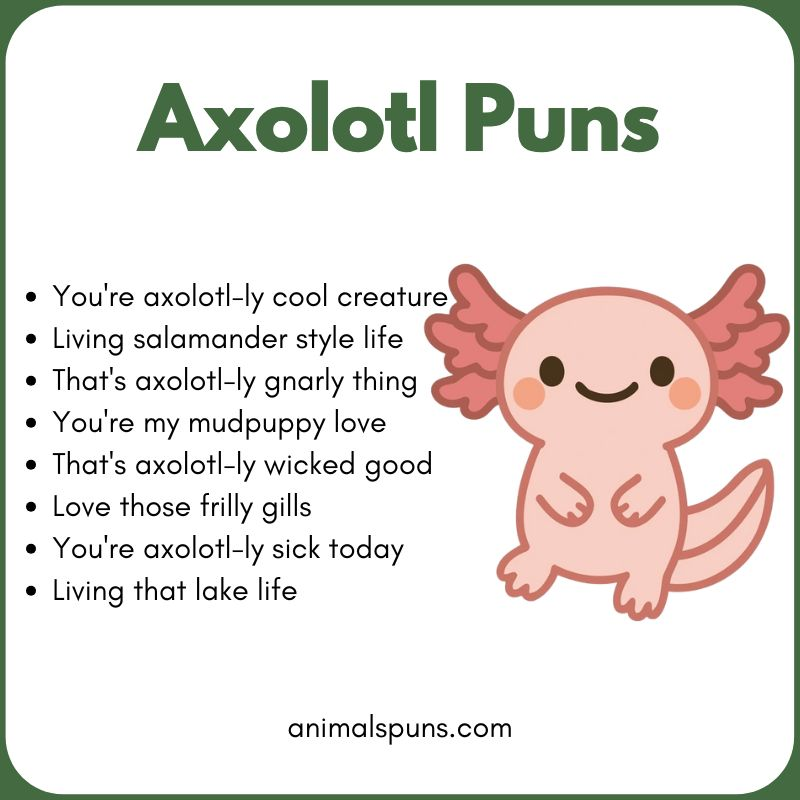 Best Axolotl Puns of All Time: axolotl pun illustration