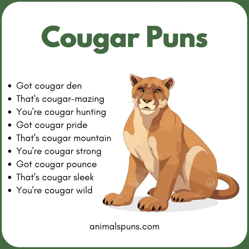 Short One-Liner Cougar Puns: cougar pun illustration