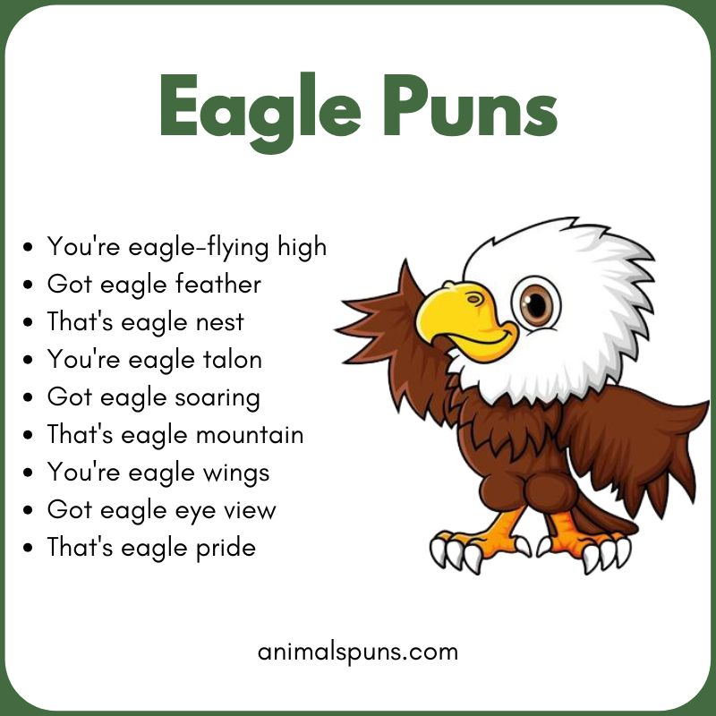 Short One-Line Eagle Puns: eagle pun illustration