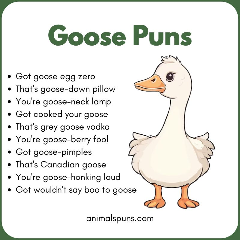 Cute Goose Puns 🪿: goose pun illustration