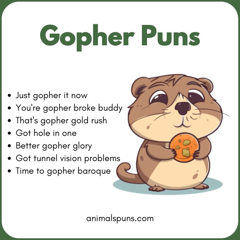 Best Gopher Puns of All Time: gopher pun illustration