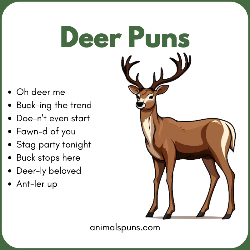 One-Liner Deer Puns: deer pun illustration