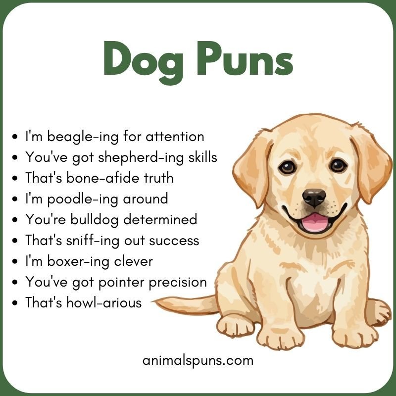 Cute Puppy Puns for Little Furballs: dog pun illustration
