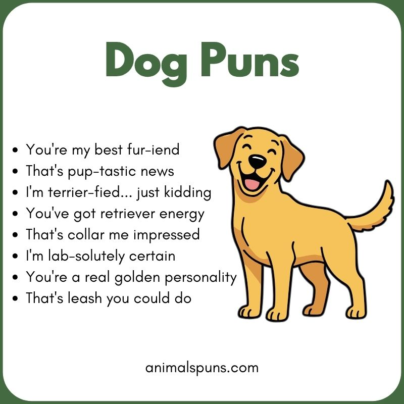 Short & Snappy One-Liners: dog pun illustration