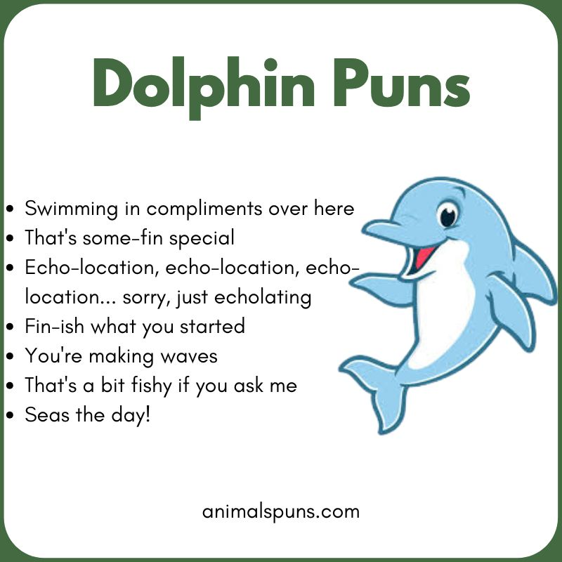 Short One-Liner Dolphin Puns: dolphin pun illustration