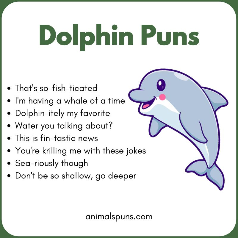 Best Dolphin Puns of All Time: dolphin pun illustration