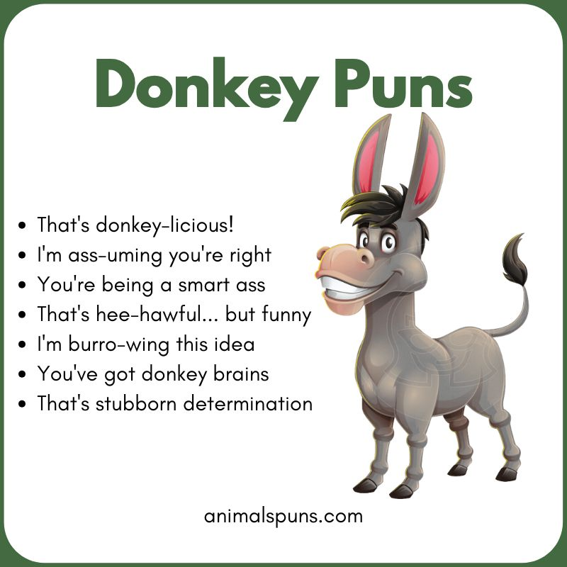 Best Donkey Puns of All Time: donkey pun illustration