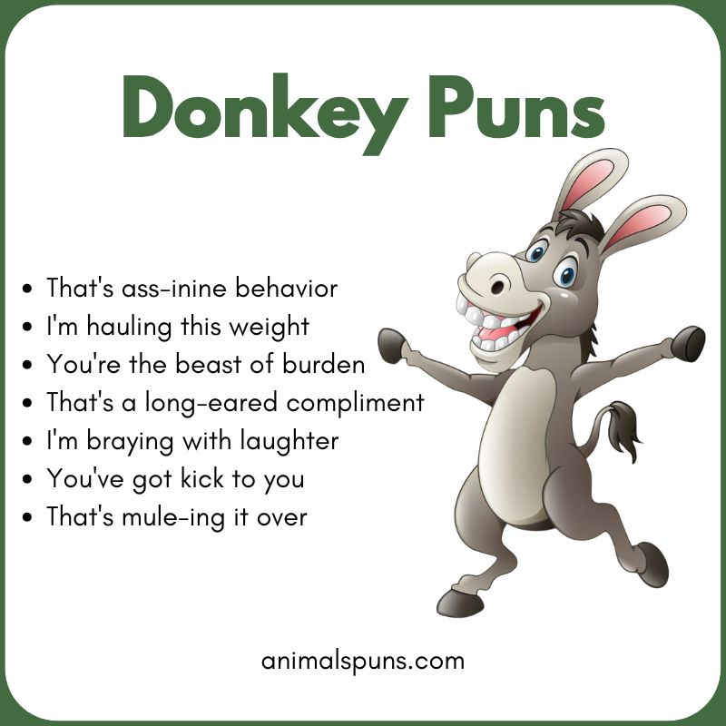 Short One-Line Donkey Puns: donkey pun illustration