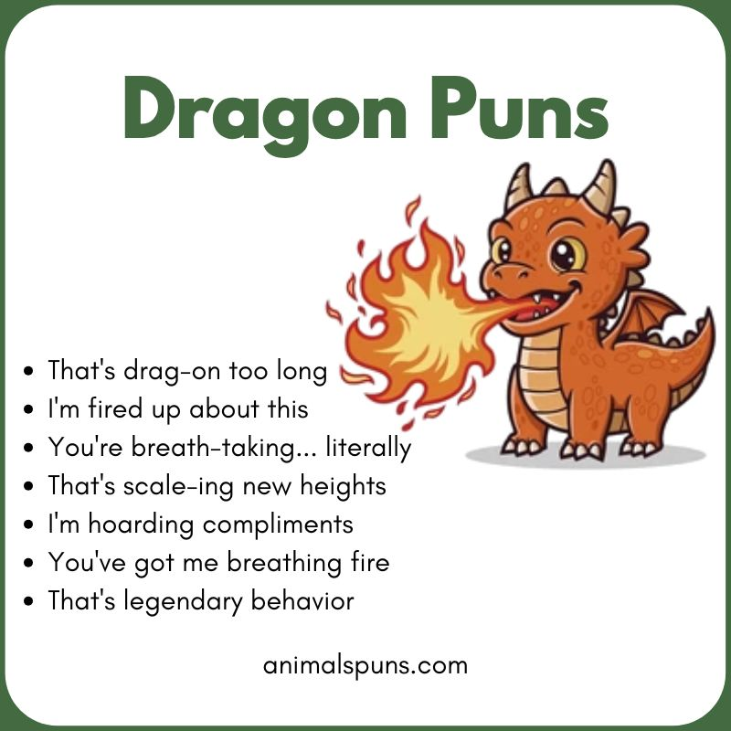 Funny Dragon Puns: dragon pun illustration